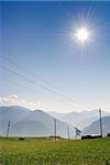 Rural scenery with green farm under blue sky and bright sunlight in Fushoushan Farm, Taiwan, Asia.