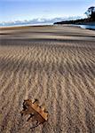 Lake Superior Northern Michigan fall autumn beautiful