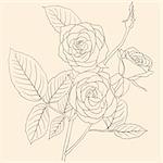 hand drawing illustration of a  bouquet of roses