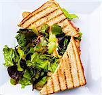 Sandwich with chicken, cheese and Fresh salad