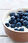 Fresh cottage cheese  with blueberries