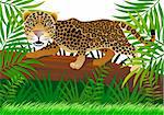 leopard cartoon