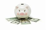 Piggy bank and US dollars on white background