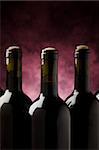 photo of five wine bottles in front of violet background