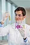 research and  science doctor student  people  in bright laboratory representing chemistry education and medicine concept