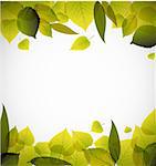 Spring leafs abstract background with place for your text