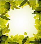 Spring leafs abstract background with place for your text