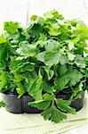 green, organic parsley in a cup on a napkin