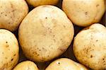 A lot of fresh raw potatoes, close-up
