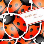 Vector picture with ladybug stickers