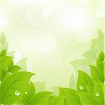 Fresh And Green Leaves, Vector Illustration