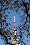 Hamburg Germany Television Tower: View from Botanic Garden.