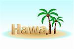 illustration of hawaii on white background