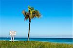 Sign in Miami titled Swim At Your Own Risk, No Lifeguard On Duty with a single palm tree on an otherwise empty beach with the ocean in the distance.