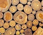 Background of dry teak  logs stacked up on top of each other in a pile