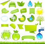 Collection Eco Design Elements, Isolated On White Background, Vector Illustration