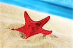 Red Starfish lying on sand at beach