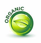 Editable vector illustration of Green ORGANIC label/button/logo; Organic food label  for use in websites, packaging, or print materials.