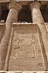 Egyptian hieroglyphic carvings on a wall at the Temple of Edfu