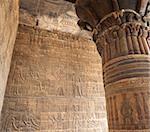 Sculptures hiéroglyphiques sur un mur du Temple de Khnoum égyptien à Esna