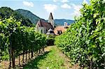 Church between Vine Branch, taken in Wachau, Lower Austria