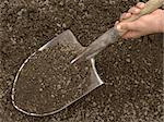 hand holding spade with soil