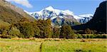 New Zealand valley looking towards snow capped mountain peaks