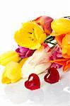 Lovely spring colored tulips with water drops lie in the bouquet in the foreground of the two red glass hearts. Isolated