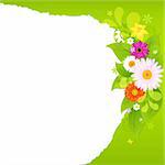 Fragmentary Paper With Flowers, Vector Illustration