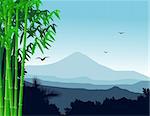 Nature bamboo background