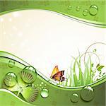 Butterfly, clover and grass with drops of water over springtime background