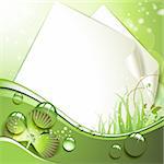 Sheets of paper and clover over springtime background