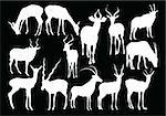 antelopes collection - vector