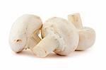 Three mushrooms isolated on white background