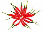 Red chili peppers on a white background