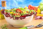 Fresh mixed salad from red-leaf lettuce, curly endive (frisee), cherry tomato, red onion, cucumber and red and yellow bell pepper in white bowl (Selective Focus, Focus on the cherry tomato half)