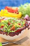 Fresh mixed salad from red-leaf lettuce, curly endive (frisee), cherry tomato, red onion, cucumber and red and yellow bell pepper in white bowl with fork in front and ingredients in the back (Selective Focus, Focus on the tomato in the front)