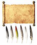 Old parchment and collection of feathers. Isolated over white