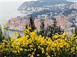 Dubrovnik cityscape telezoom shot from far mountain