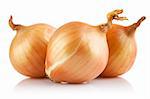 fresh onions vegetables isolated on white background