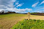The Medieval Stone Cross on the Plowed Field in Spain