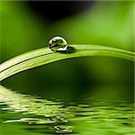 water drop on fresh green grass with blurred background