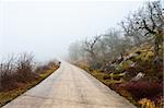 Fog on the Paved Road through a Mountain Pass in the Pyrenees