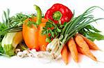 Fresh garden vegetables on a white background.