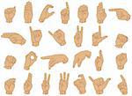 Vector Illustration of Sign Language Hand Gestures.