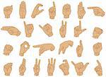 Vector Illustration of Sign Language Hand Gestures.