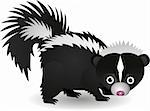 Vector illustration of skunk cartoon