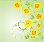Vector illustration of daffodil frame