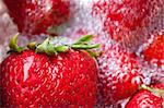 Fresh red strawberries being washed