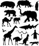 collection of wild animals silhouette - vector